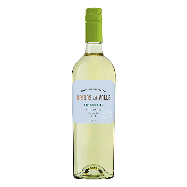 Vinho Brisas del Valle Sauvignon Blanc 750ml