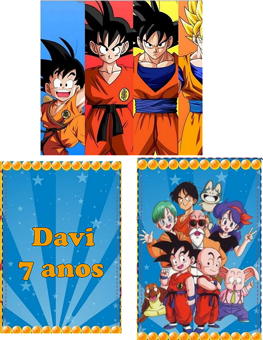 kit festa dragon ball z