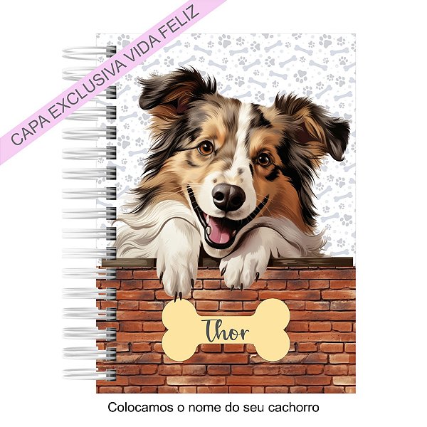 Caderneta Pet Cachorro Shetland Sheepdog