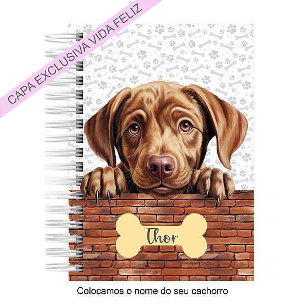 Caderneta Pet Cachorro Labrador Retriever