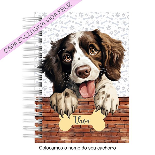 Caderneta Pet Cachorro English Springer Spaniel