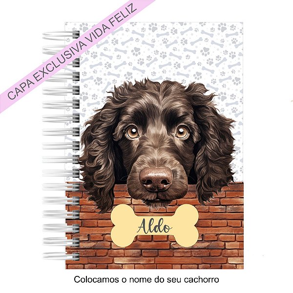 Caderneta Pet Cachorro American Water Spaniel