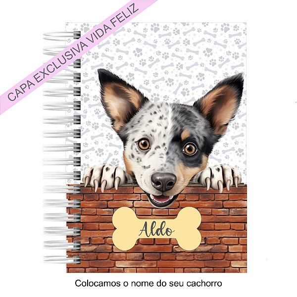 Caderneta Pet Cachorro Australian Stumpy Tail Cattle
