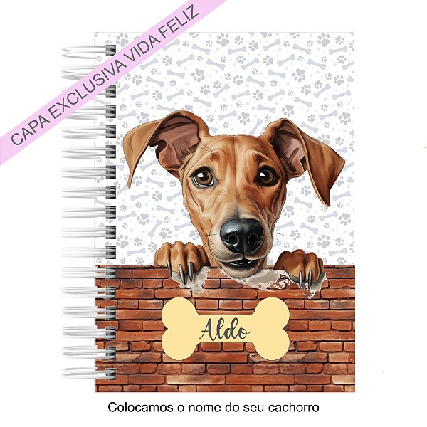 Caderneta Pet Cachorro Azawakh