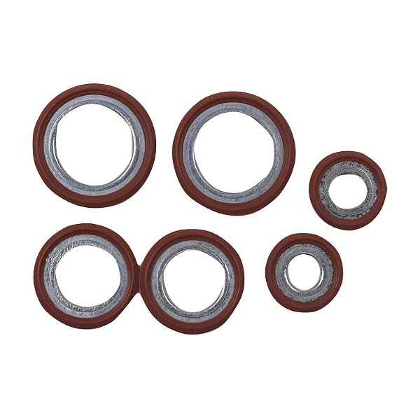 Arruela Vedação Sucção Descarga Compressor de Ar Condicionado Focus Ranger KA