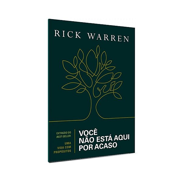 Você Não Está Aqui Por Acaso