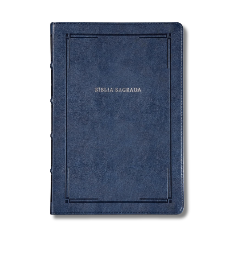Biblia Slim NVI - Letra Grande