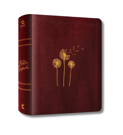 Biblia Mulheres  Viviane Martinello  NAA  Espaco Para Anotacoes  Sopro Divino