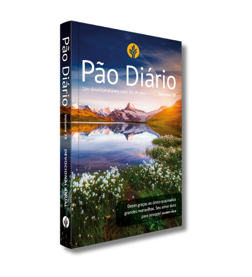 PAO DIARIO VOL 29 - PAISAGEM