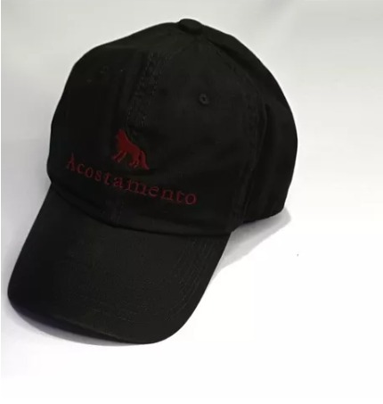 BONE ACOSTAMENTO LOBO/LOGO BORDADO REF 320178026