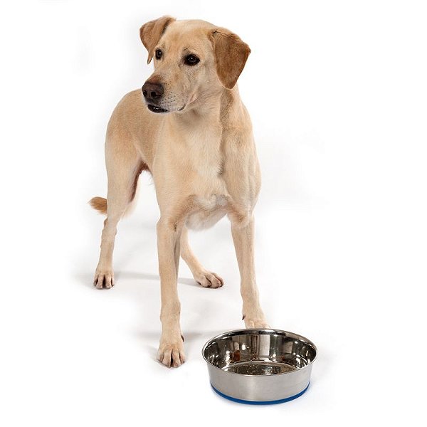 Comedouro bebedouro Durapet bowl aço inox - Petvipi