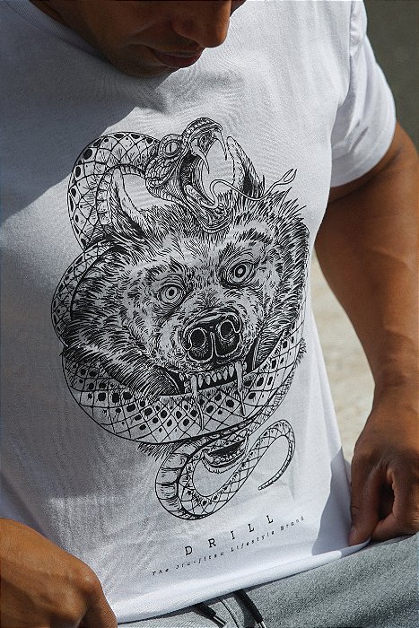 The size of the fight in the dog