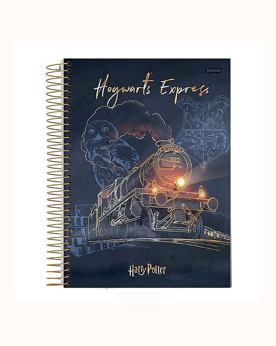 Caderno Universitário Harry Potter 1 Matéria 2023 Jandaia