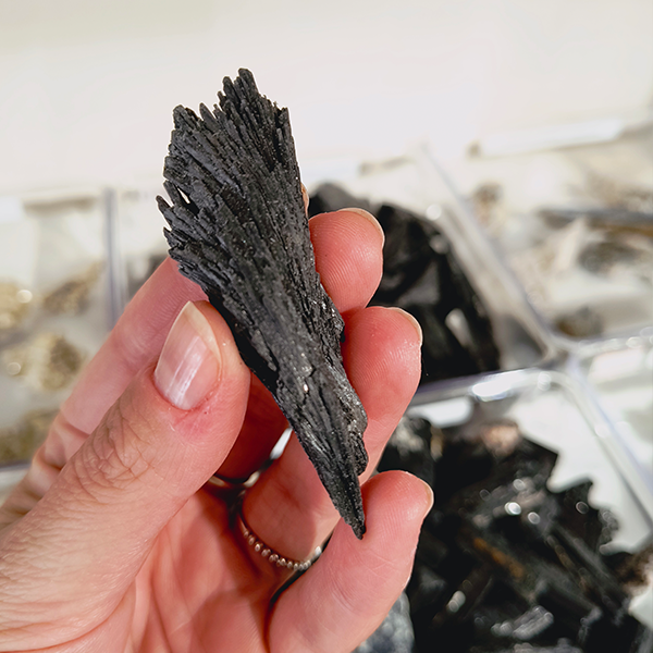 Vassoura de Bruxa (Cianita negra)