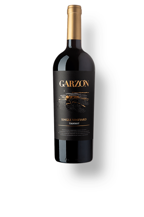 Vinho Garzón Single Vineyard Tannat - 750ml