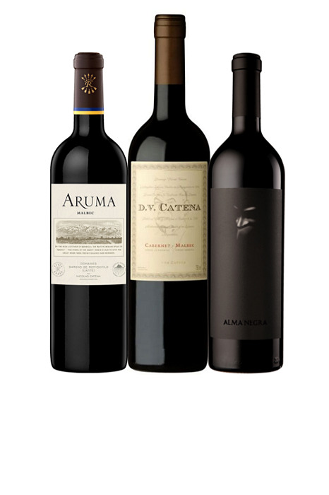 Kit 3 Vinhos Argentina Especial