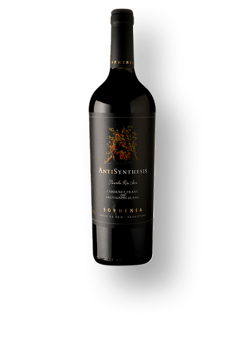 Vinho Sophenia Antisynthesis Parcela Rio Seco 2022 - 750 ml