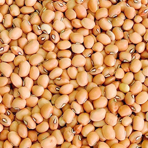 FEIJAO DE CORDA