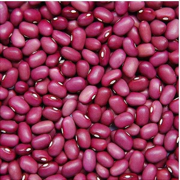 FEIJAO ROXO