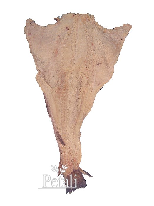 PEIXE DE BACALHAU DO PORTO 8/12 INTEIRO GADUS MACROCEPHALUS