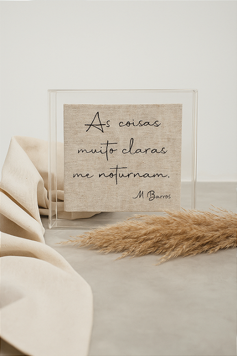As Coisas Muito Claras Me Noturnam