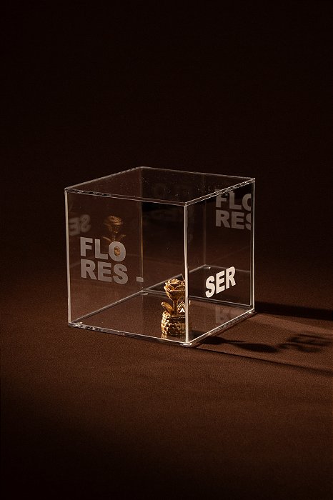 Cubo Prata - Flores-Ser
