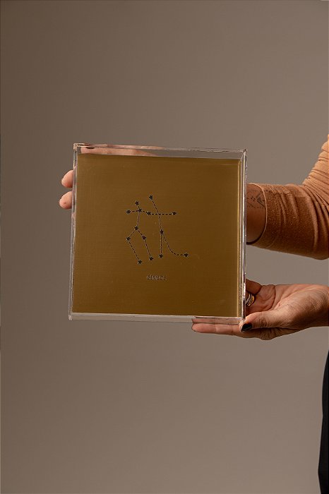 Quadro em Acrílico Dourado - Gêmeos