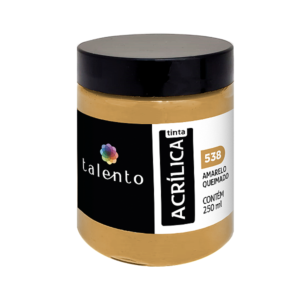 TINTA P/TELA 250ML 538-AM.QUEIMADO UND