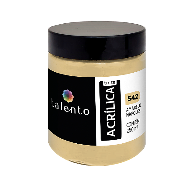 TINTA P/TELA 250ML 542-AM.NAPOLES UND