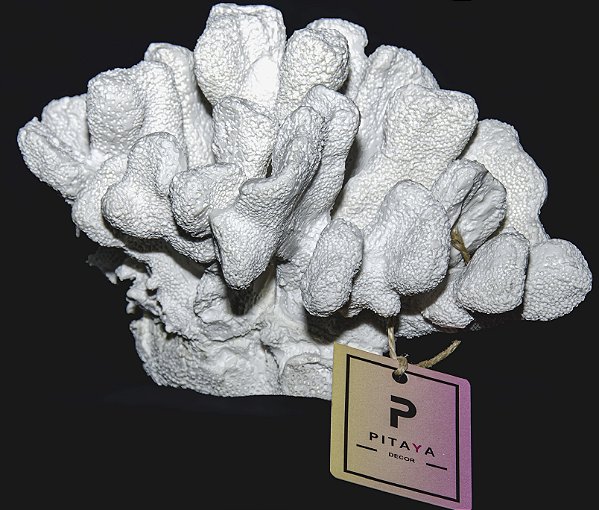 Escultura Coral em Poliresina
