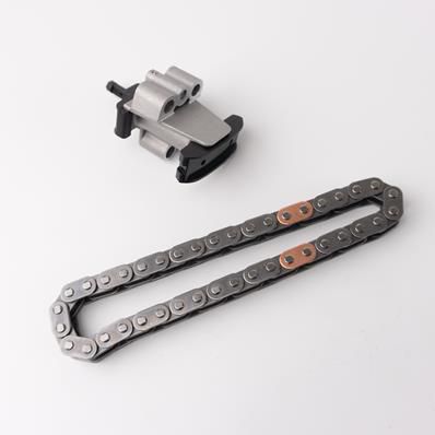 Kit Corrente Bomba Oleo Land Rover Freelander 2.2 Diesel TD4 2006/2014