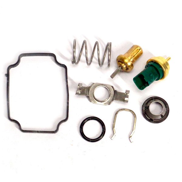 Valvula Termostatica Citroen C3 Picasso / Peugeot 206 207 307