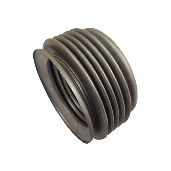 SANFONA COLETOR ESCAPE INOX