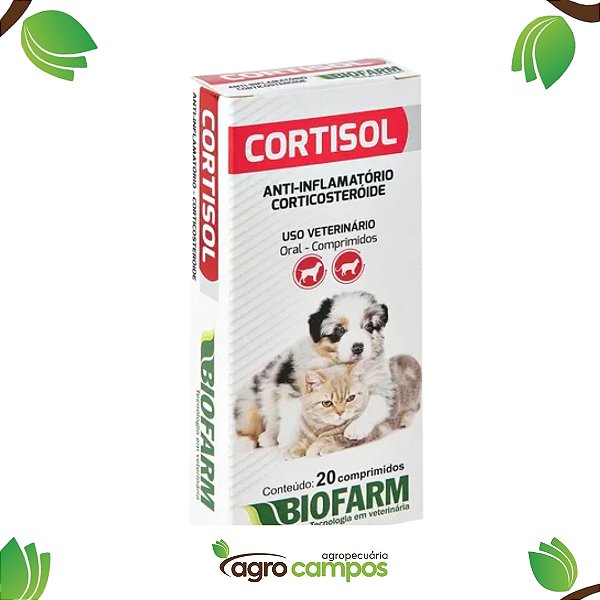 Cortisol Anti Inflamatório Corticosteroide