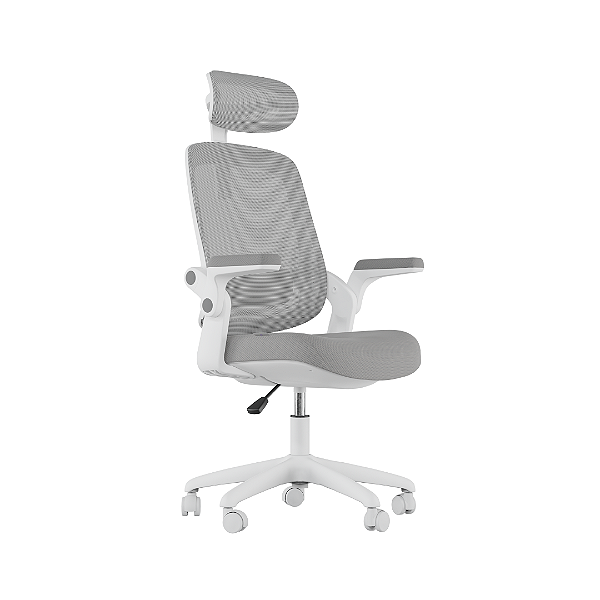 Cadeira De Escritório Ergonômica Elements Astra Cinza Branco