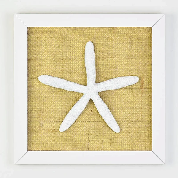 Quadro com Tela Estrela Fina - 25cm x 25cm