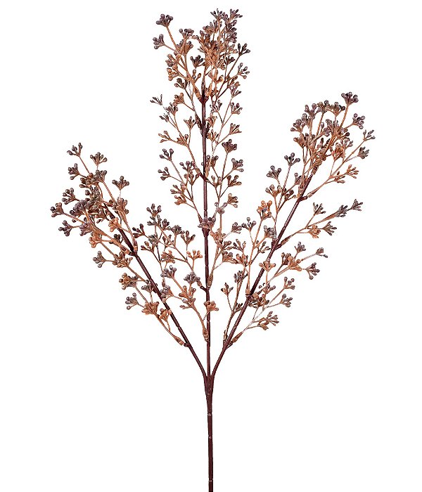 Haste de Berries Marron - 65cm x 10cm