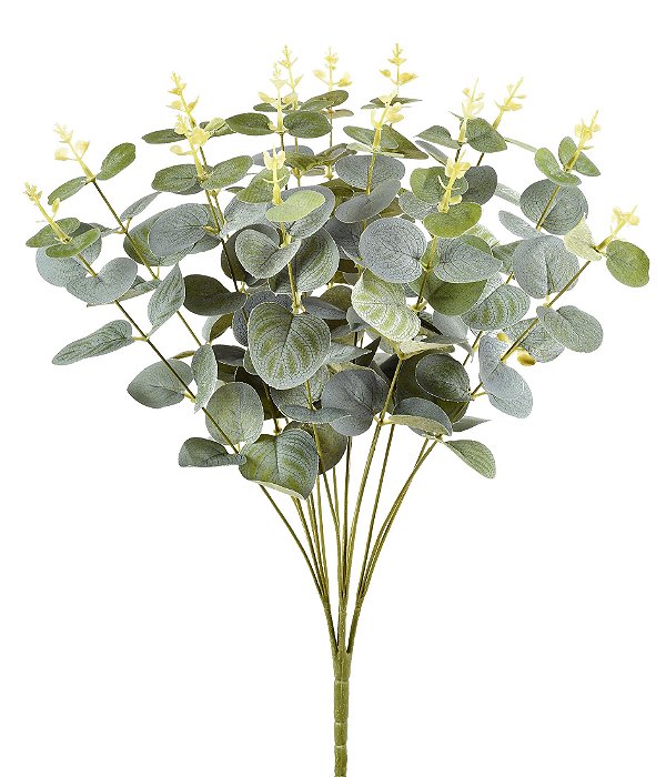 Bouquet Eucalipto Verde Fosco - 43cm x 23cm x 23cm