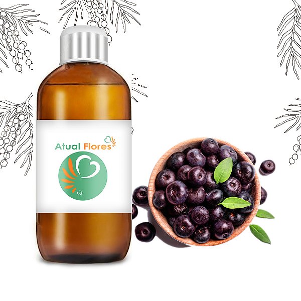 Essência Concentrada P/ Aromatizadores 100ml - Açaí