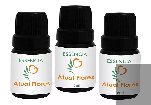 Kit Com 20 Essências - Atual Flores 10ml