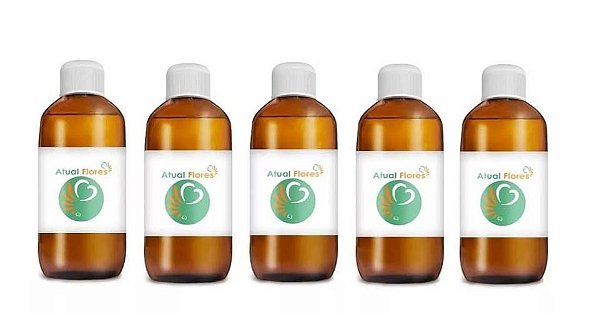 Kit 6 Essências Concentrada 100ml - Diversas Fragrâncias