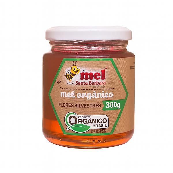 Mel Puro Silvestre Santa Bárbara 300g | Vidro, 100% Natural e Artesanal