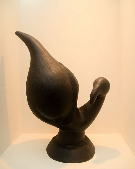 Pelicano Negro