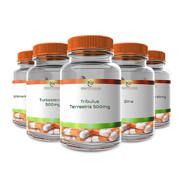 Kit Tribulus Terrestris 500mg 60 Doses + Zma 60 Doses + Turkesterone 500mg 30 Cápsulas + Silimarina com Metionina 60 Doses + Ginkgo Biloba 60mg 60 Cápsulas