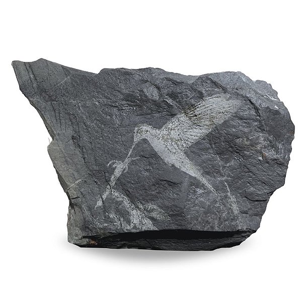 Pedra In Natura Decorativa Gravada a Laser - Beija-flor