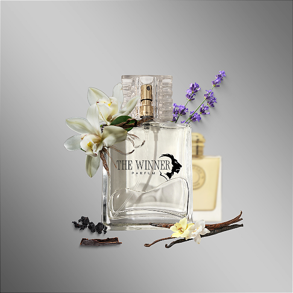 DIVINITY - INSPIRAÇÃO: GODDESS BURBERRY