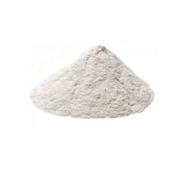 LEITE DE COCO EM PO VEGANO