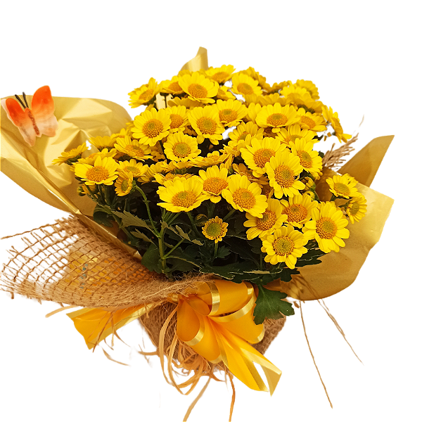 Arranjo de margarida