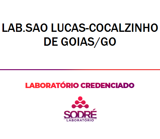 Exame Toxicológico - Cocalzinho De Goias-GO - LAB.SAO LUCAS-COCALZINHO DE GOIAS/GO (C.N.H, Empregado CLT, Concurso Público)