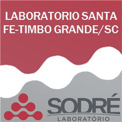 Exame Toxicológico - Timbo Grande-SC - LABORATORIO SANTA FE-TIMBO GRANDE/SC (C.N.H, Empregado CLT, Concurso Público)